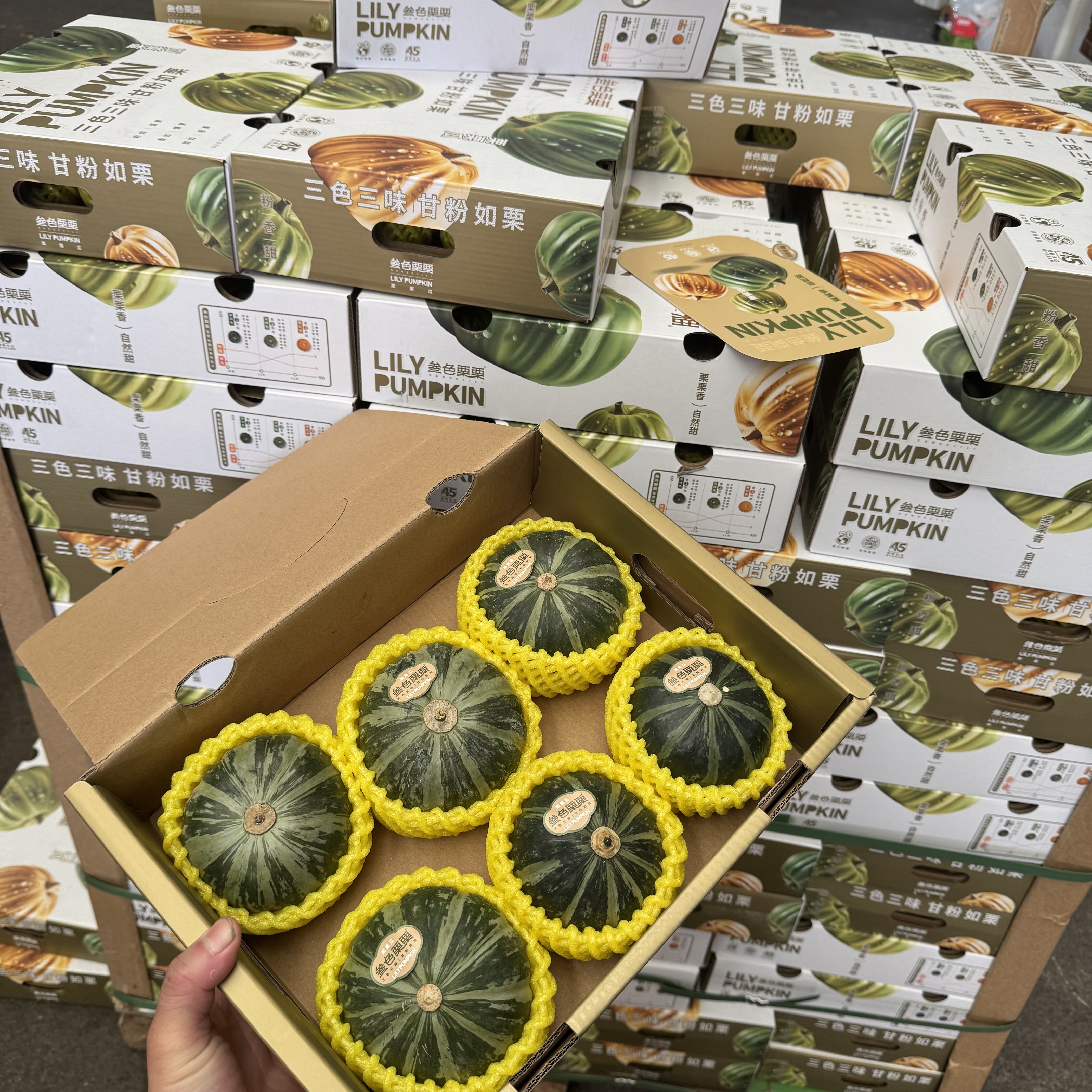 叁色栗栗甄选自全球91个南瓜品种粉糯相甜三色南瓜宝宝辅食顺丰