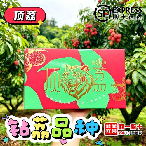 顶荔钻荔空运荔枝老古树冰荔桂味王荔枝海南有籽荔枝当季水果现摘