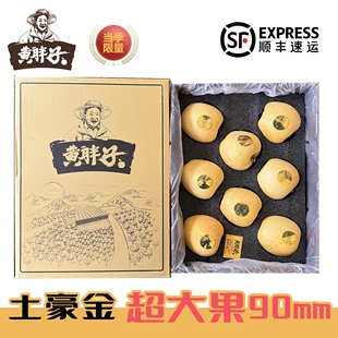 土豪金限量黄胖子维纳斯黄金苹果冬恋苹果甜脆新鲜水果大果礼盒装