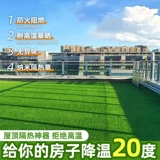 Крыша балластная украшение моделирование газон