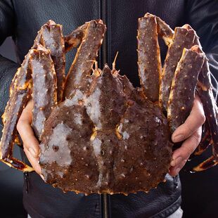 帝王蟹鲜活进口俄罗斯帝王蟹活冻10斤皇帝蟹生冻长脚蟹大螃蟹