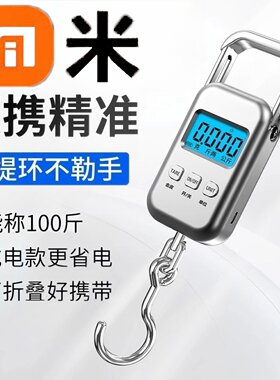 便携式手提电子秤2025新款家用小型商用称高精度精准重弹簧称鱼器