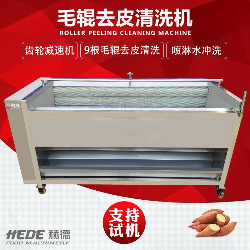 毛刷去皮清洗机 商业锁阳清洗加工设备 不锈钢肉苁蓉去皮清洗机