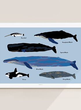 韩系Warmgrey Tail装饰画 Whales鲸鱼创意卧室挂画简约北欧风壁画