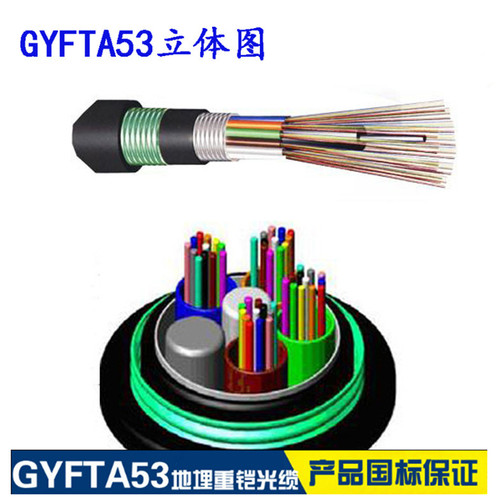 GYFTA53-481.3双铠双护直埋光缆