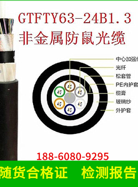 gyftzy63-24芯光缆48芯非金属防鼠阻燃36芯48芯室外架空管道光纤