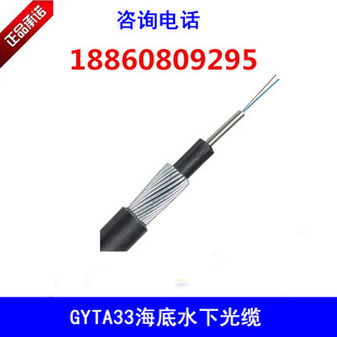 GYTA33-12芯湖泊GYXTS-12B1直埋水下光缆12芯单模防水抗压防
