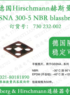 平板垫片用于GSSA...系列C型 GSSNA 300-5 NBR blassbraun