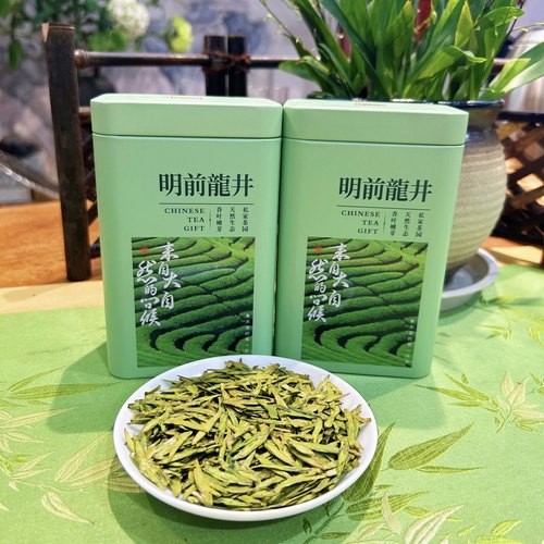 2025年新茶杭州老茶树明前龙井茶叶龙井43清香型春茶绿茶散装250g