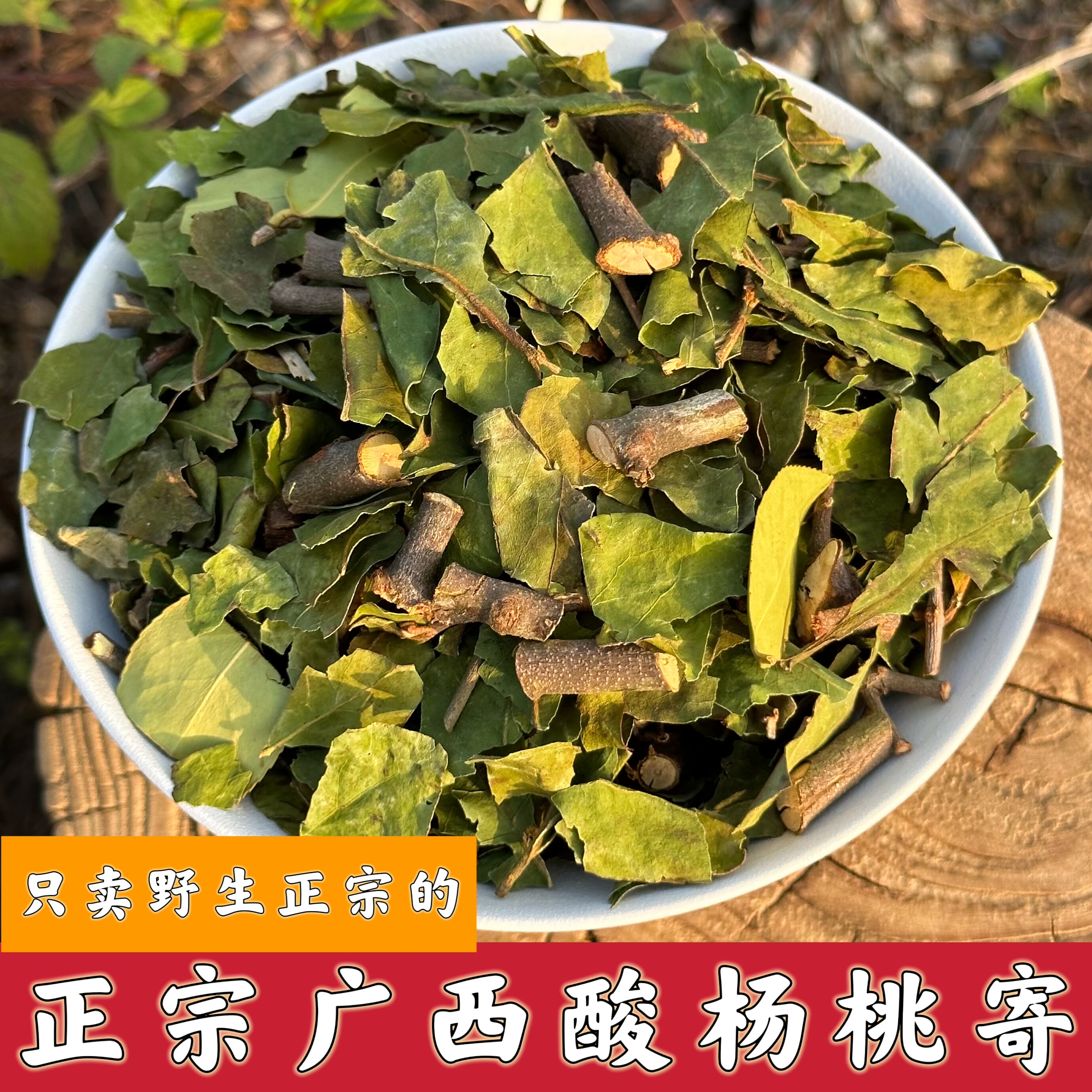 野生杨桃树寄生广西酸杨桃寄生干品寄生茶500g包邮图片