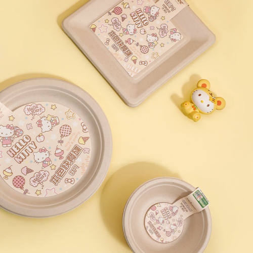 hellokitty一次性diy户外盘子