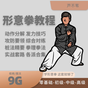 形意拳教程实战教学视频拳法套路内家功传统武术养生五行讲解课件