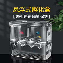 鱼缸隔离盒孔雀大小鱼幼鱼孵化繁殖盒热带鱼亚克力缸外产卵产房