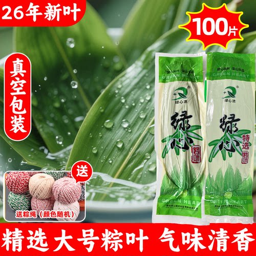 新鲜粽叶大号包粽子专用粽子叶