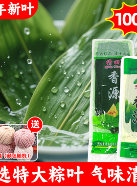 粽叶粽子叶新鲜大号特大棕叶种子竹叶干箬叶芦苇包粽叶子真空专用
