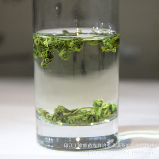 贵州绿茶梵净山珠茶  口感柔和回甘好耐泡 厂家直销250克装抢购价