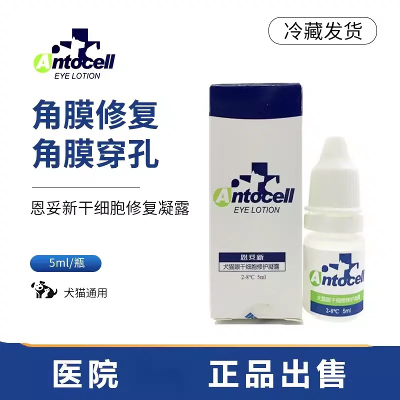 恩妥新干细胞滴眼液凝露宠物角膜修复猫咪角狗角膜穿孔医院