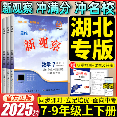 湖北专版数学新观察课时同步