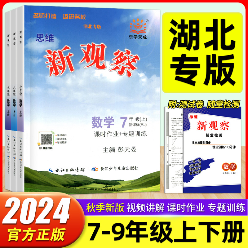 湖北专版数学新观察课时同步