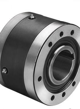 Formsprag超越离合器FSO300/400/500/550/600/650/700系列逆止器