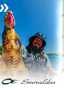 DAIWA达亿瓦 24新款EMERALDAS AIR.K轻量木虾竿岸钓鱿鱼竿路亚竿