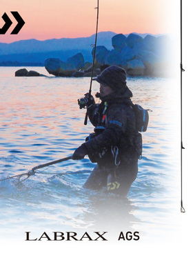 DAIWA达亿瓦 新款兰博士LABRAX AGS.N海鲈翘嘴竿岸抛路亚竿远投杆