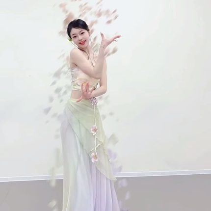 古典舞服装演出服舞蹈服古典舞练功服紫仙气纱衣飘逸大摆裙女成人