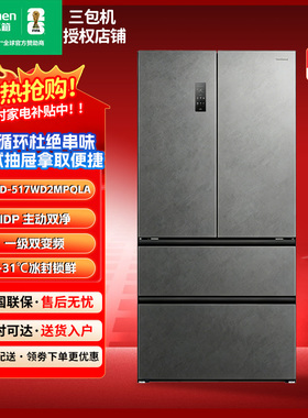 Ronshen/容声 BCD-517WD2MPQLA灰色法式门IDP双净平嵌冰箱三包机