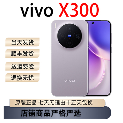 vivo X300