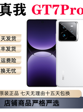 Realme/真我 真我GT7 Pro