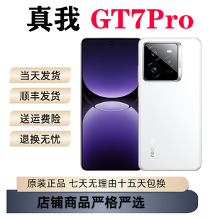 Realme/真我 真我GT7 Pro