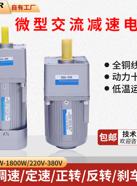 6~120~750W交流220V/380V齿轮减速电机/调速电机/微型马达