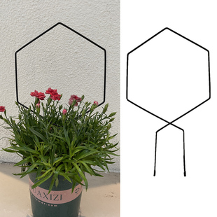 绿萝山乌龟甲龙铁线莲花架爬藤架攀藤绿植物小支架支撑杆铁艺室内