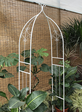 铁艺葡萄架钢管铁线莲月季拱门花架爬藤架子拱形攀爬植物支架户外