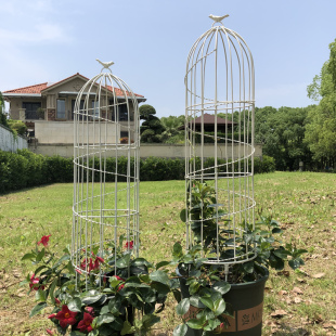 花柱架铁线莲爬藤架子植物攀爬花盆支架杆小鸟笼铁艺 特价 园艺月季