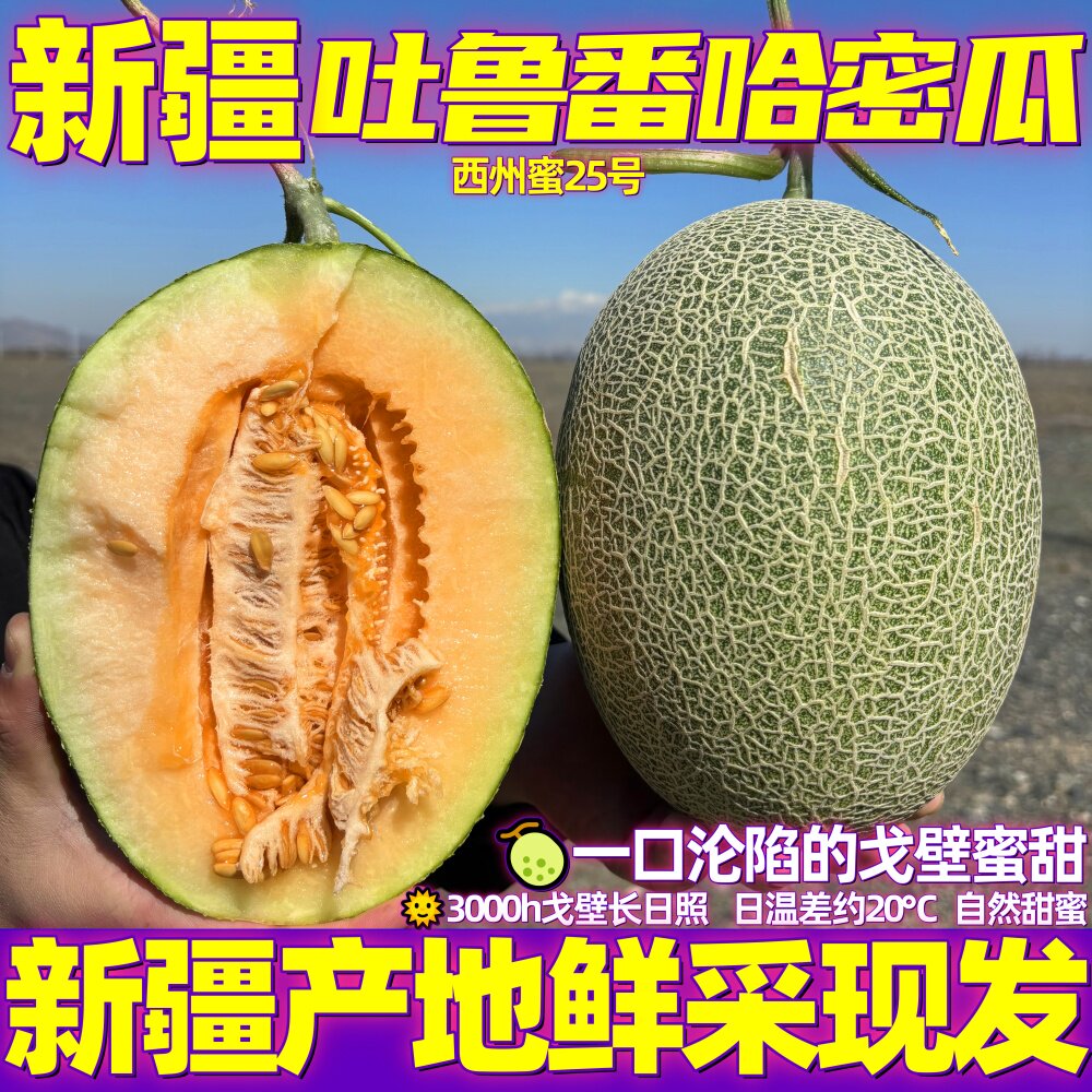 新疆吐鲁番西州蜜25号哈密瓜现摘