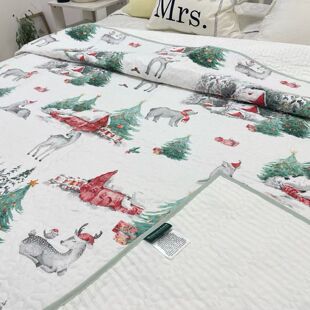 外贸尾单面料双面纯棉全棉床盖250*260加大夹棉绗缝可机洗厚床单