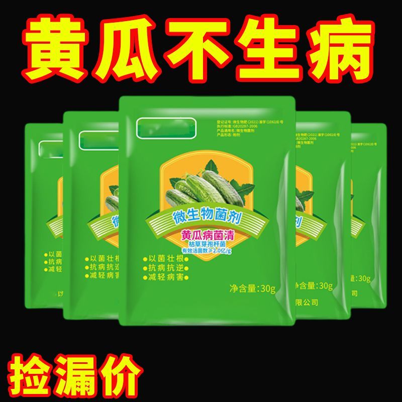 黄瓜病菌清水果黄瓜长黄瓜旱黄瓜蔬菜专用叶面肥料复合微生物新品