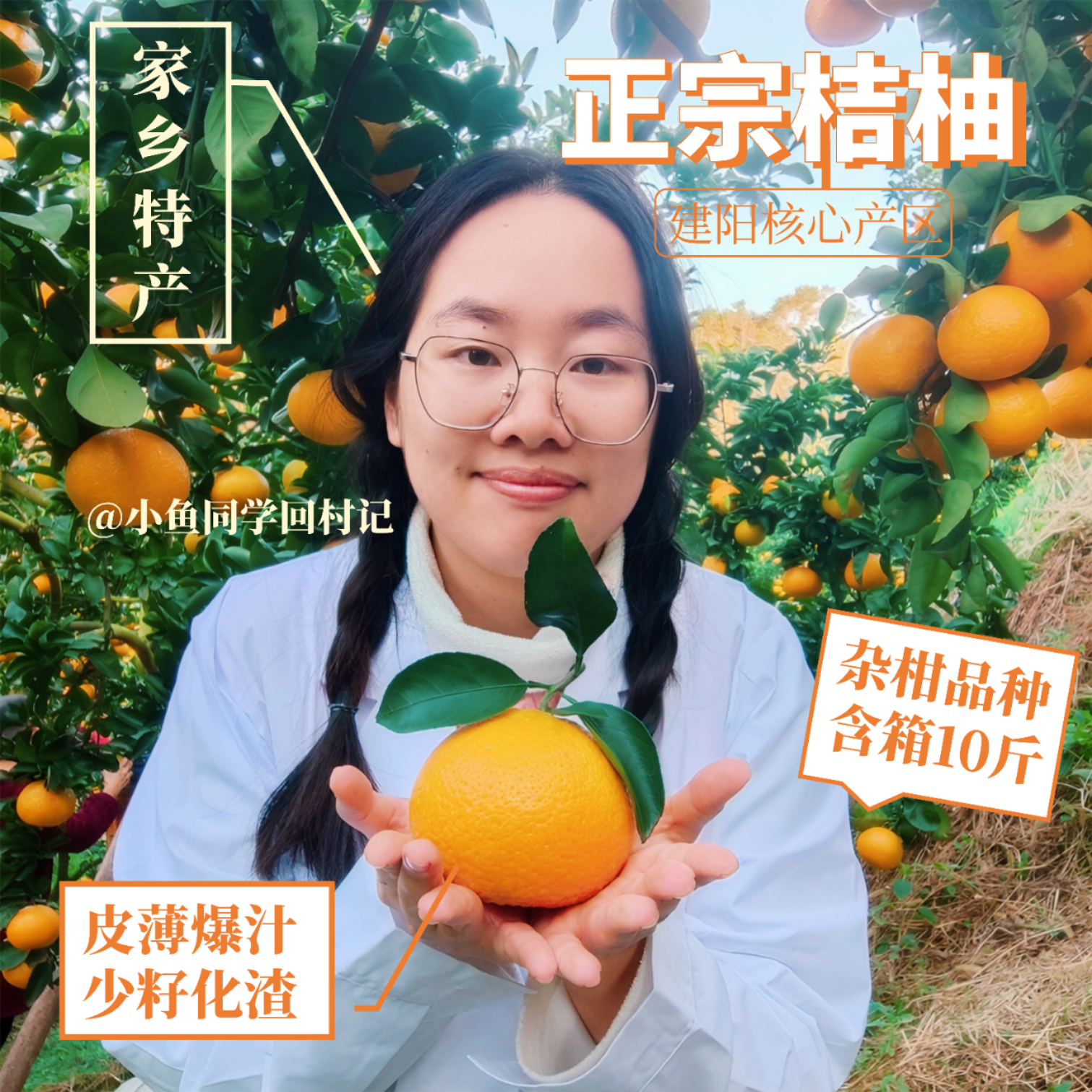 建阳桔柚【礼盒彩箱】清甜爆汁正宗建阳橘柚甜桔柚源头直发多规格