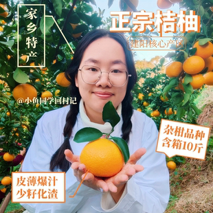 建阳桔柚【礼盒彩箱】清甜爆汁正宗建阳橘柚甜桔柚源头直发多规格