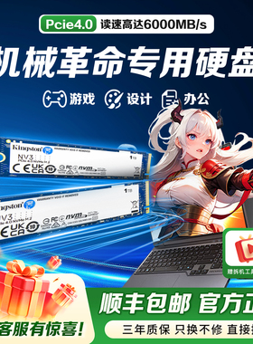 机械革命专用笔记本m2固态硬盘512g/1t/2t/4t ssd金士顿固态硬盘