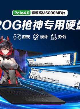 ROG枪神专用笔记本m2固态硬盘512g/1t/2t/4t ssd金士顿固态硬盘