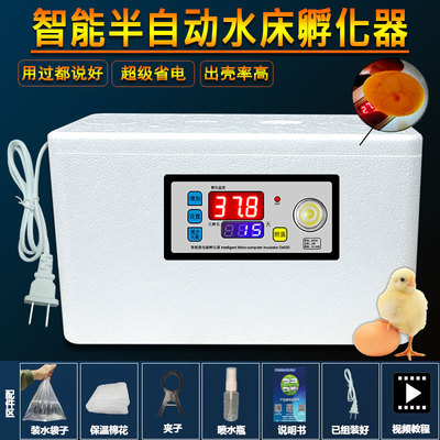 小鸡鸭鹅小型水床孵化箱