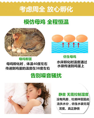 孵化器孵化机智能小型水床孵蛋器迷你家用型全自动小鸡鸭鹅孵化箱