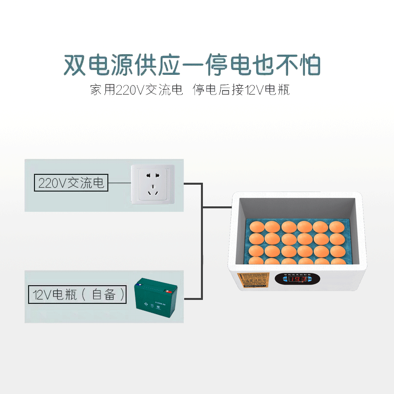 孵化器小型家用全自动智能迷你水床孵化机小鸡鸭鹅鹌鹑鸟蛋孵化箱