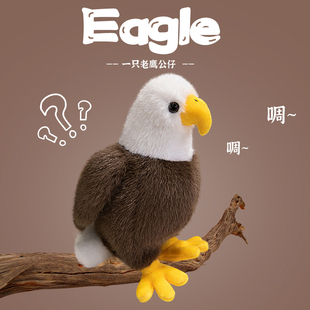 饰心意摆件活动幸运公仔礼物 可爱仿真老鹰公仔节日文创玩偶创意装