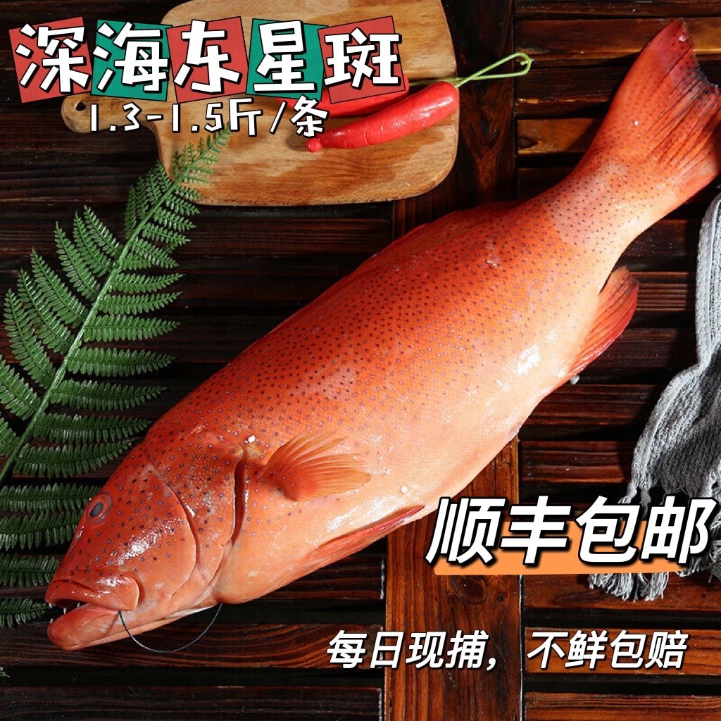 现捕深海东星斑鲜活石斑鱼活冻深海鱼非红斑非燕尾斑海鲜水产包邮,水产肉类/新鲜蔬果/熟食,斑鱼,淘宝优惠券,粉丝福利购,淘宝优惠卷