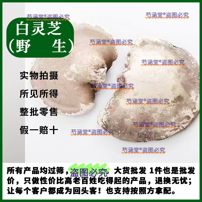 长白山野生白灵芝 白玉芝 桦剥孔菌 白边玉芝 桦剥管菌干品250克
