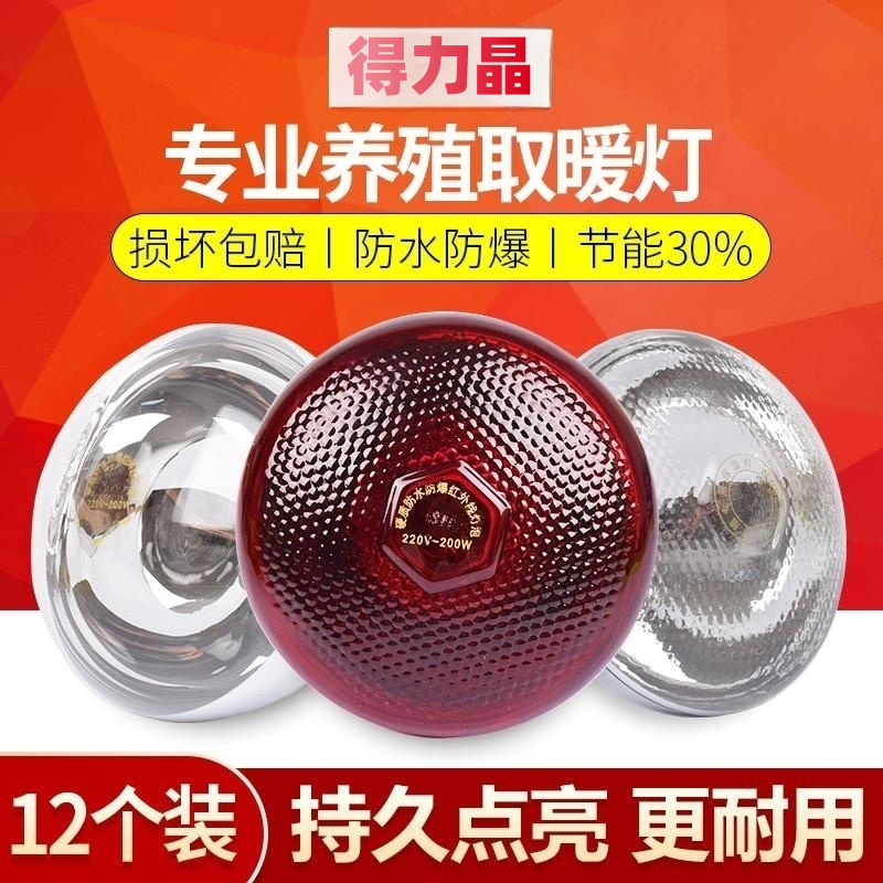 養豬取暖燈泡小雞仔保暖烤燈燈泡