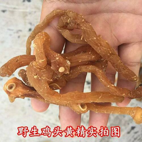 林下黄精鸡头黄精中药材仿野生